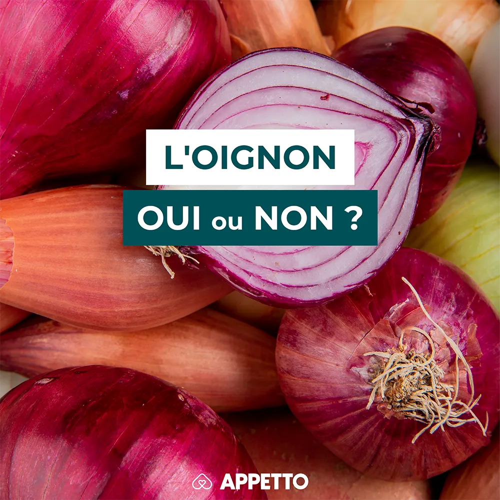 Visuel APPETTO « L’OIGNON oui ou non ? » pour chien, à éviter et interdit, cru ou cuit il est toxique, ne pas en donner même en petite quantité, risque d’anémie par destruction des globules rouges avec vomissements, diarrhée, faiblesse et urgence vétérinai