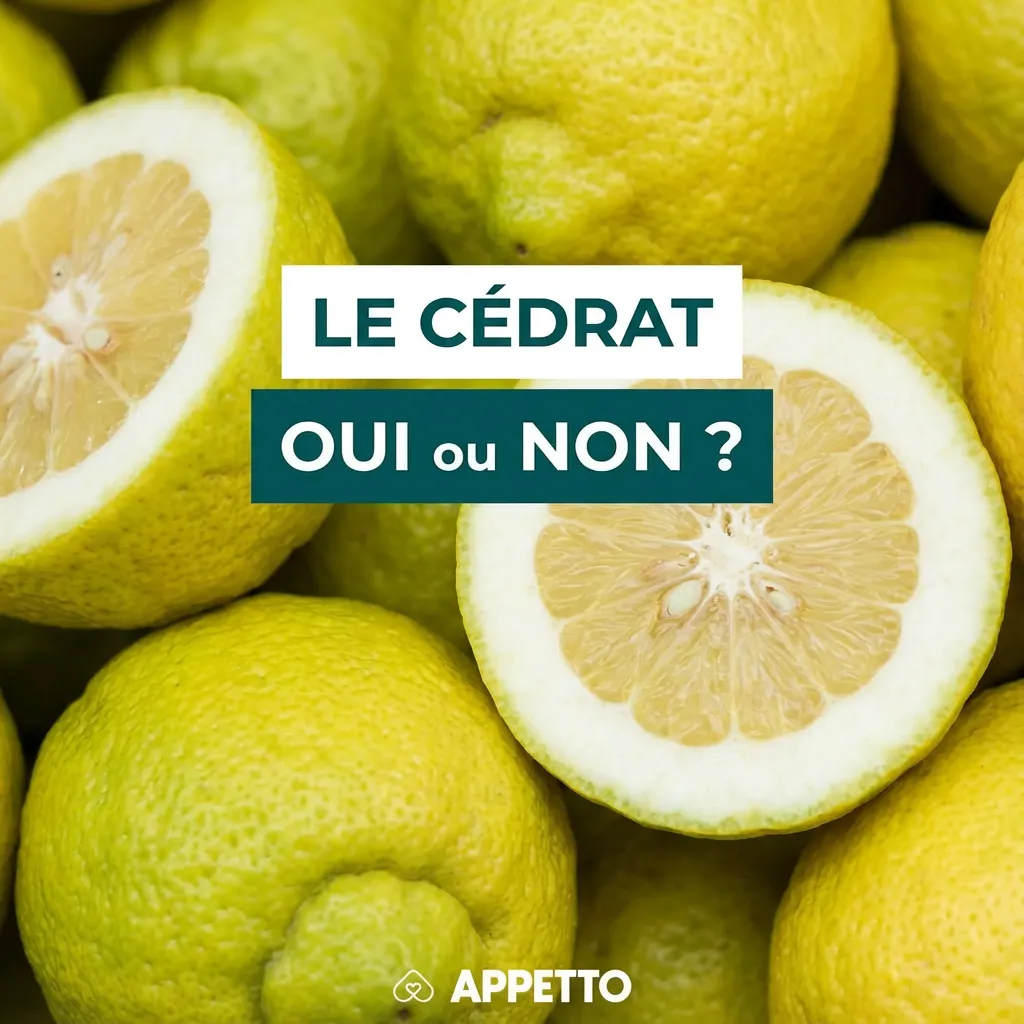 Photo de cédrats coupés avec le titre « Le cédrat oui ou non ? » et APPETTO, visuel éducatif sur l’alimentation du chien, agrumes et tolérance digestive, acidité, huiles essentielles de zeste, troubles gastro, prudence vétérinaire, portion minime, et ce qu