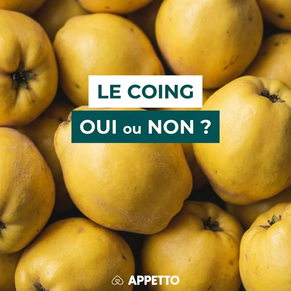 Gros plan de coings jaunes avec le visuel texte « Le coing oui ou non ? » et le logo APPETTO, illustration pour un contenu nutrition chien sur la sécurité du coing, quantité conseillée, fibres, sucre, pépins, risques digestifs, avis vétérinaire et alternat