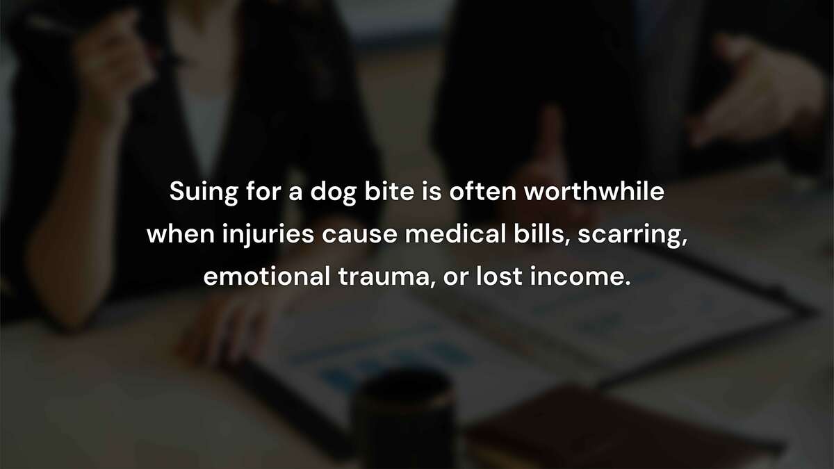 When Is Suing for a Dog Bite Worthwhile?