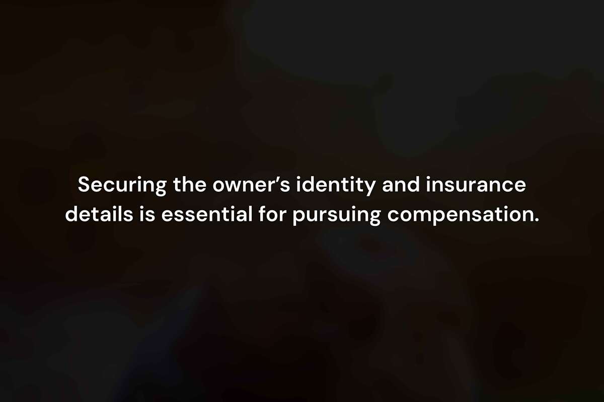 What to Do Immediately After a Dog Bite in Los Angeles