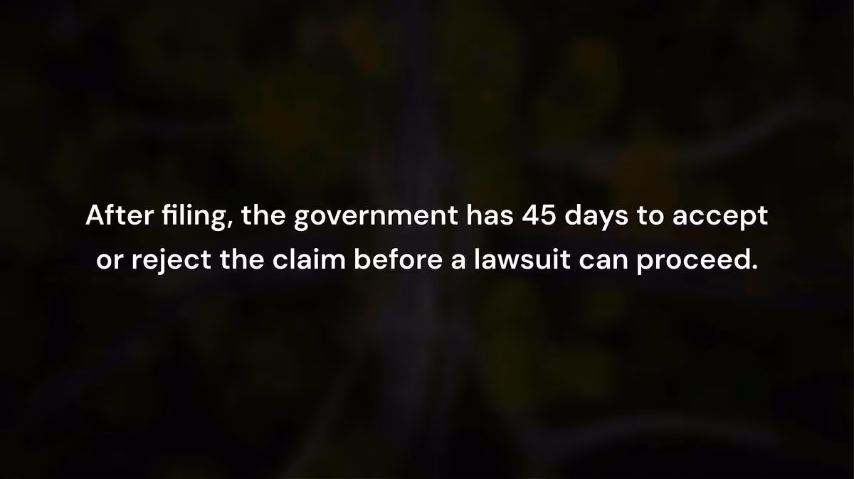What Happens After the Claim Is Filed