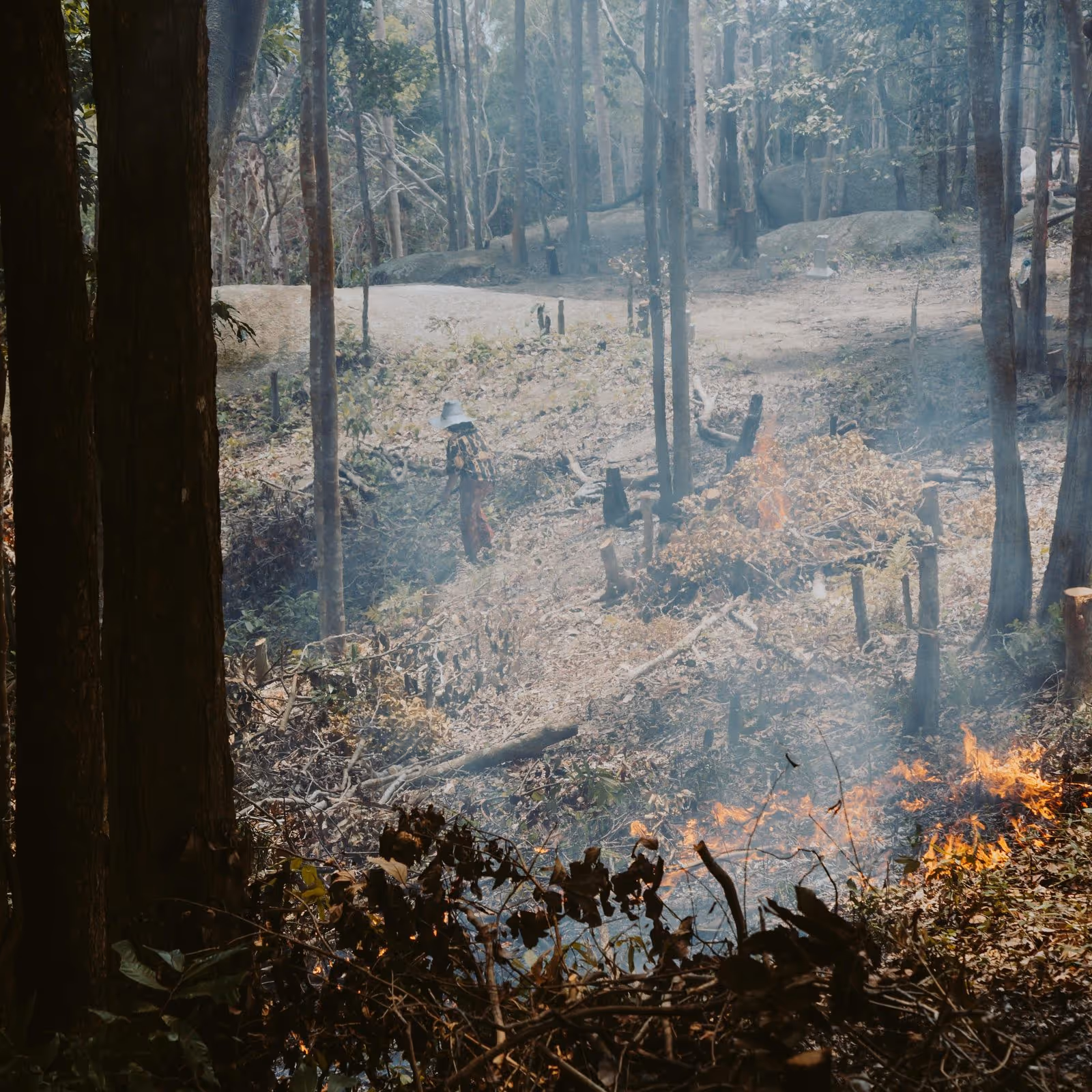 Fire damage attorney in Burbank CA handling insurance claims and legal representation