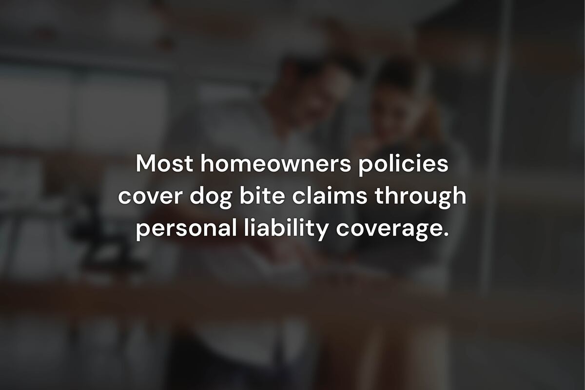 What Breed Exclusions Limit Homeowners Insurance Coverage for Dog Bites?