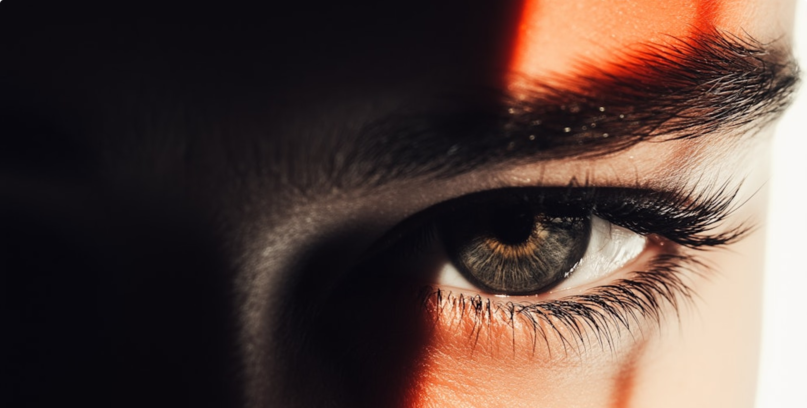 Website design and reasearch