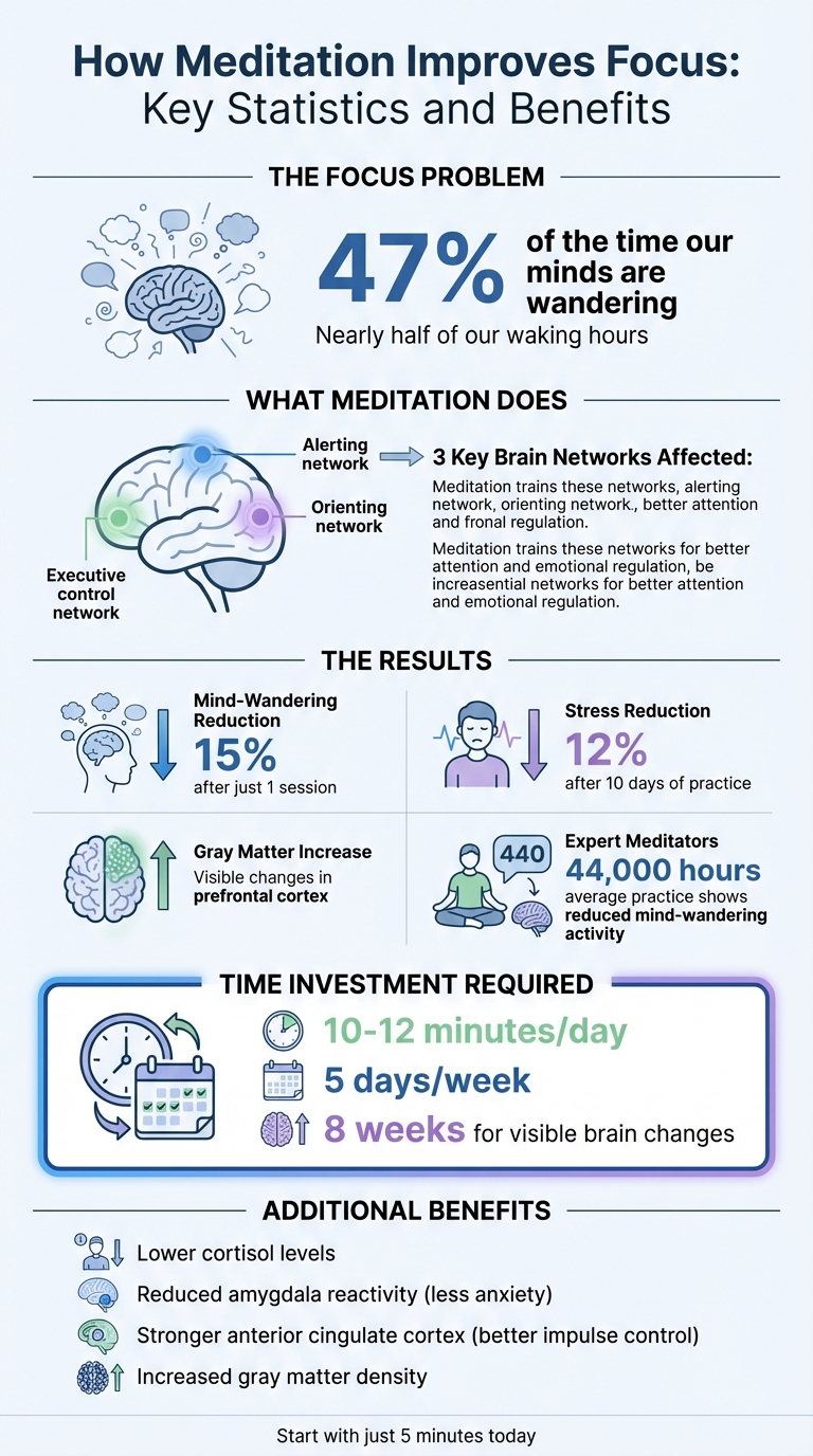 How Meditation Improves Focus: Key Statistics and Brain Benefits