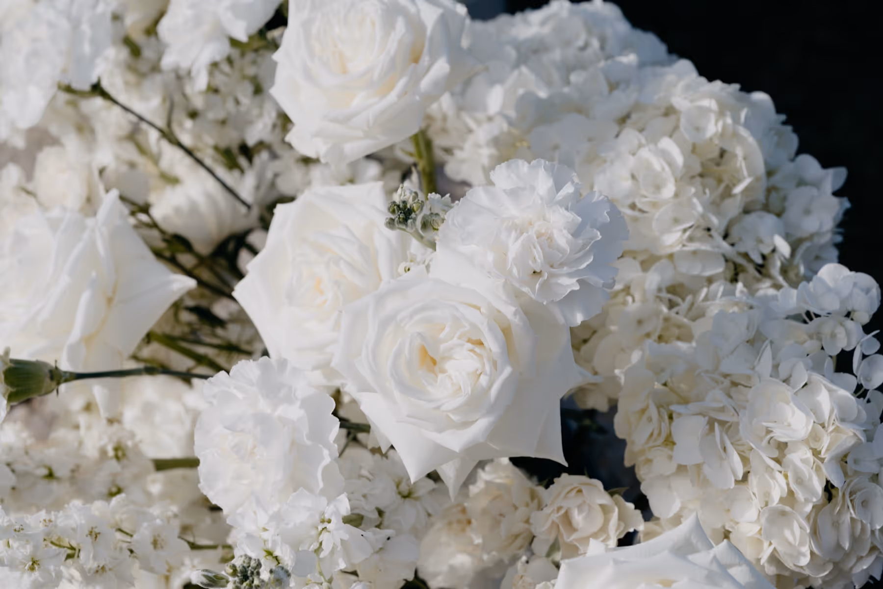 Close-up of a bouquet of white roses and hydrangeas with delicate petals.