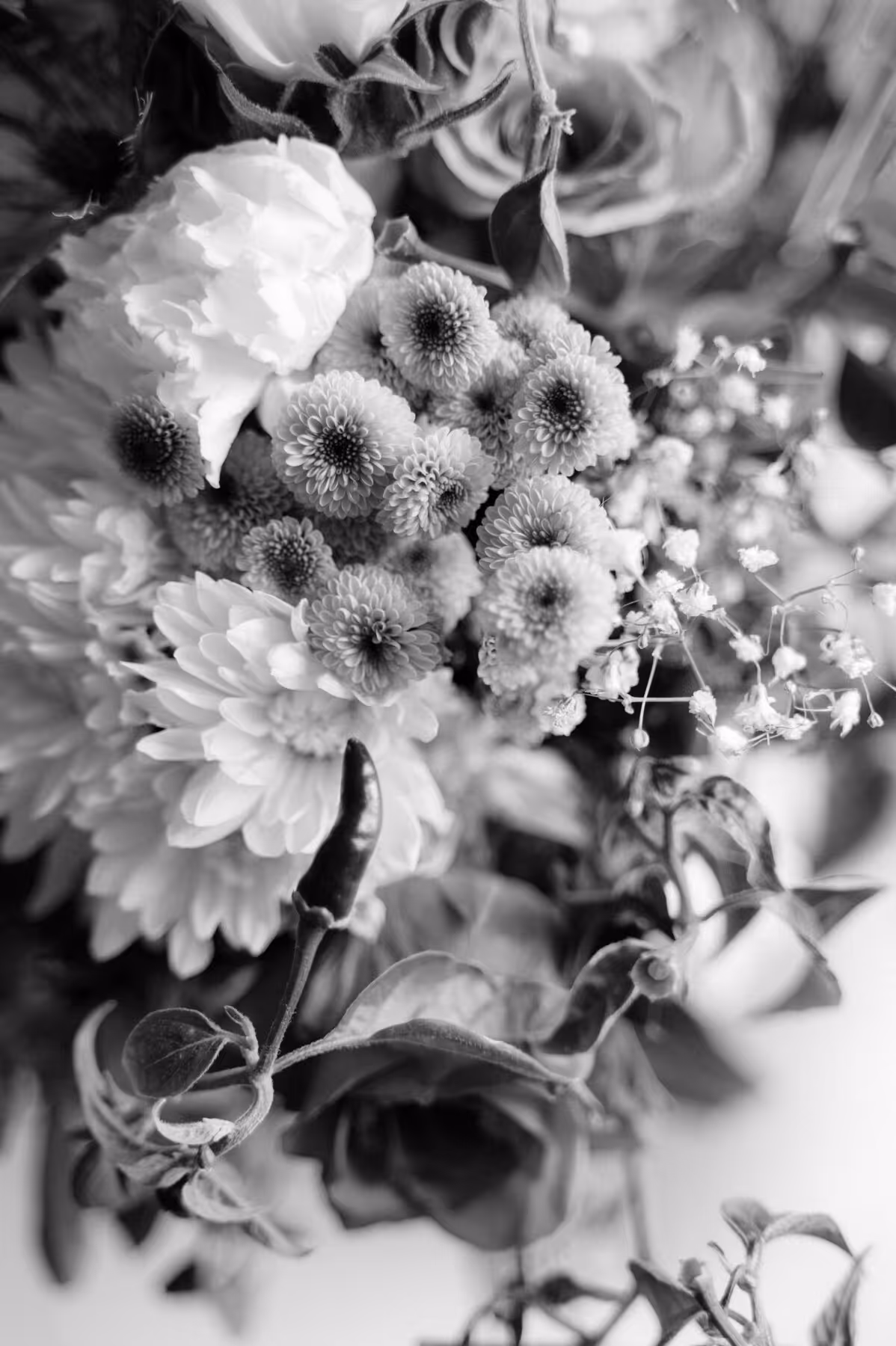 Black and white close-up of a floral bouquet featuring various flowers and a chili pepper with surrounding leaves.