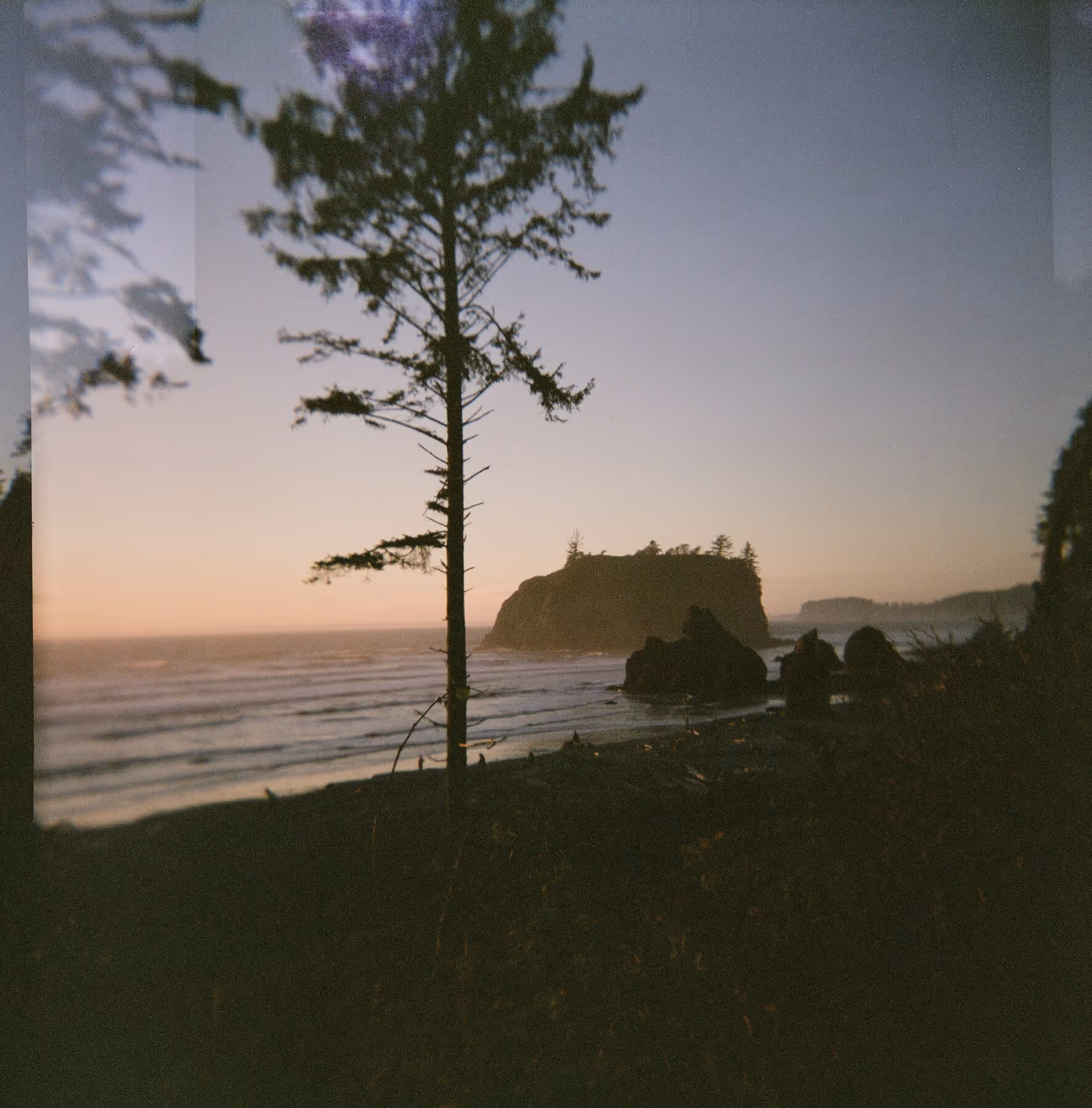Silhouette of a tree on a beach with rocky cliffs and calm ocean waves at sunset.