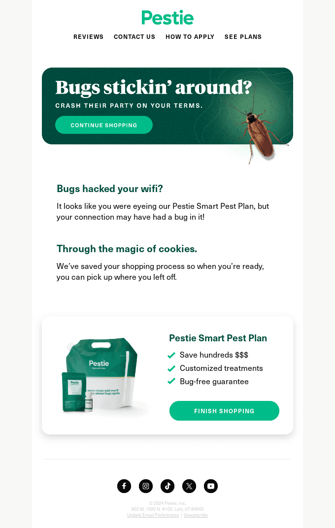 Browse Abandonment from Pestie - Desktop Email View | Really Good Emails