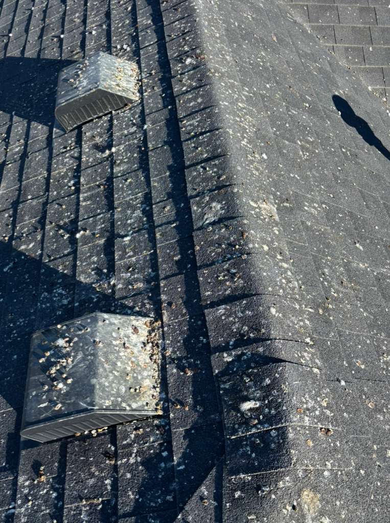 Close-up of a rooftop with black shingles covered in bird droppings and two metal vent caps casting shadows.