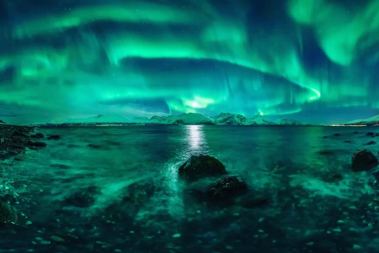 Nordlys Lyngenfjorden