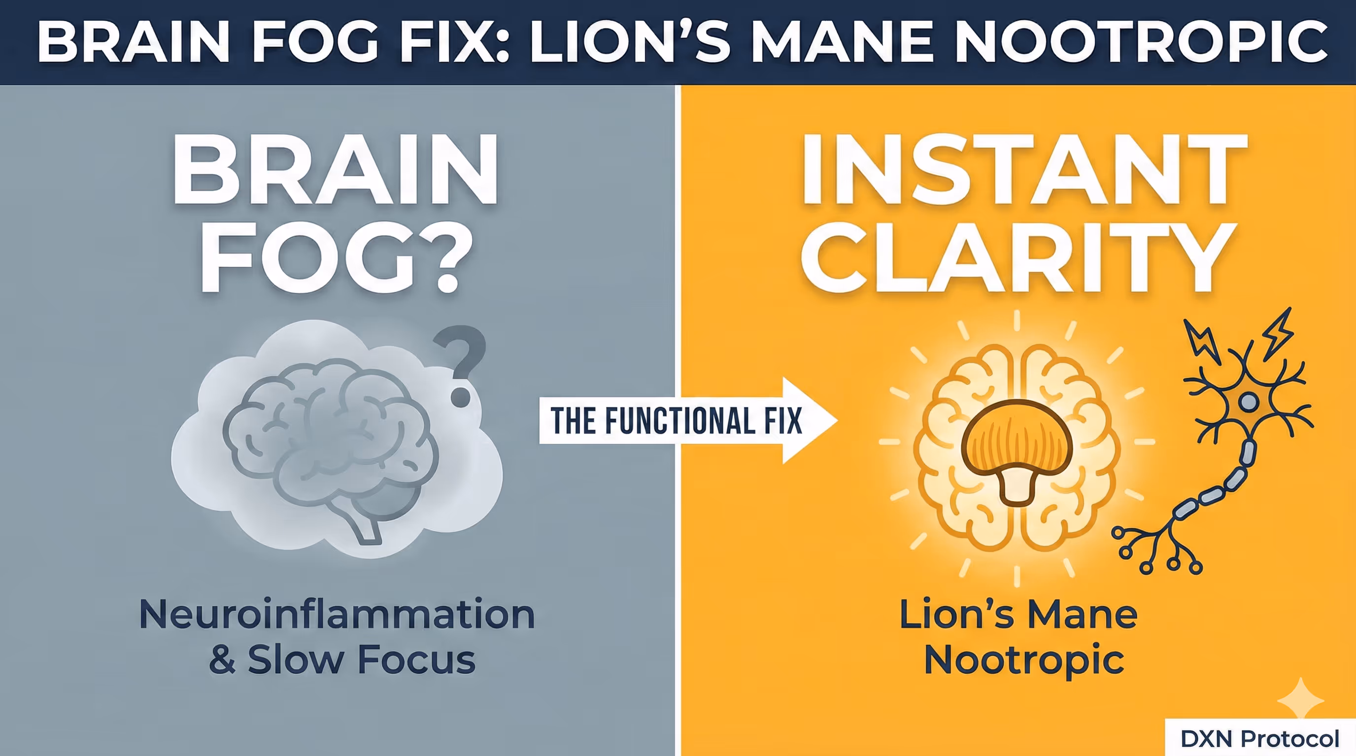 Brain Fog Fix: Nootropics That Clear Your Mind Instantly
