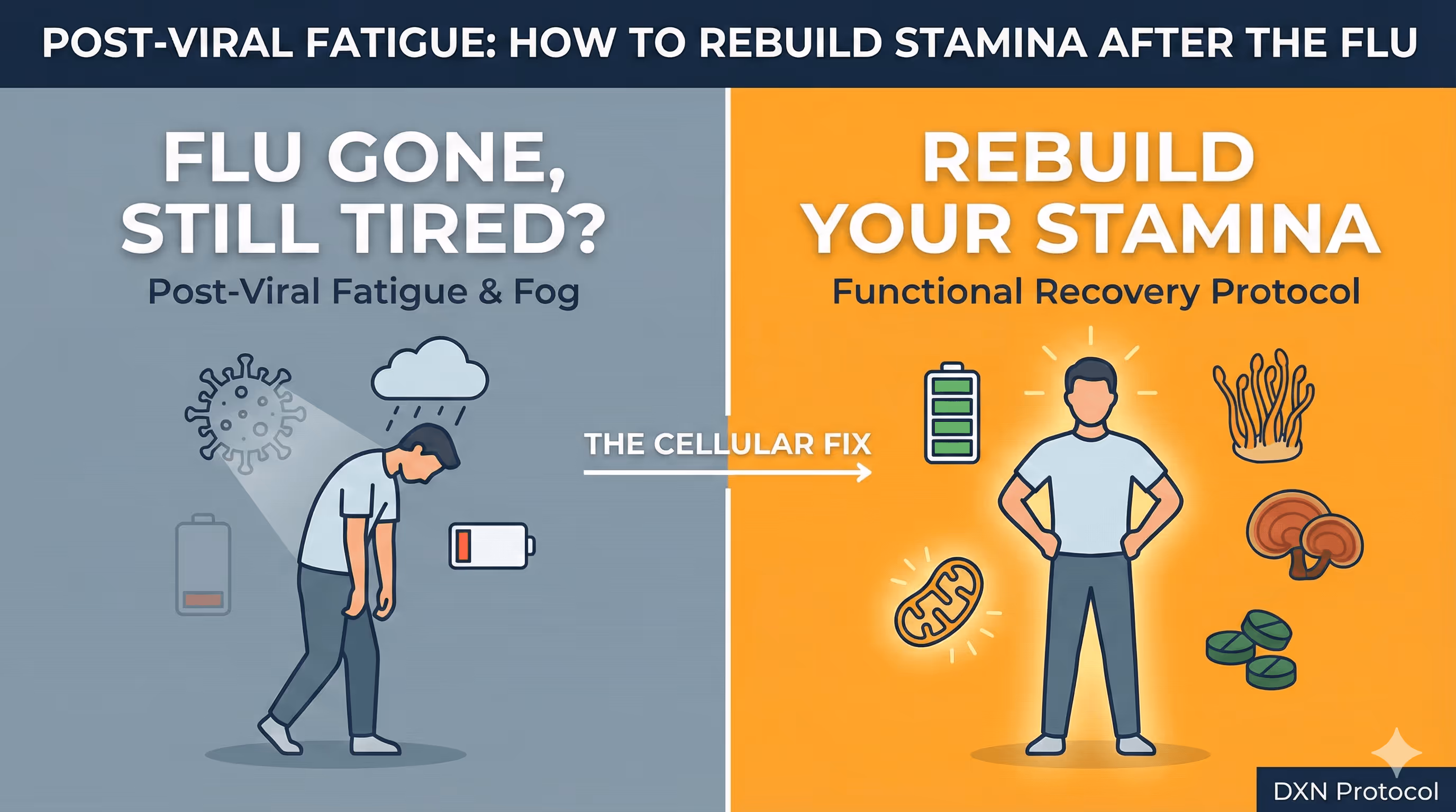 Post-Viral Fatigue: How to Rebuild Stamina After the Flu