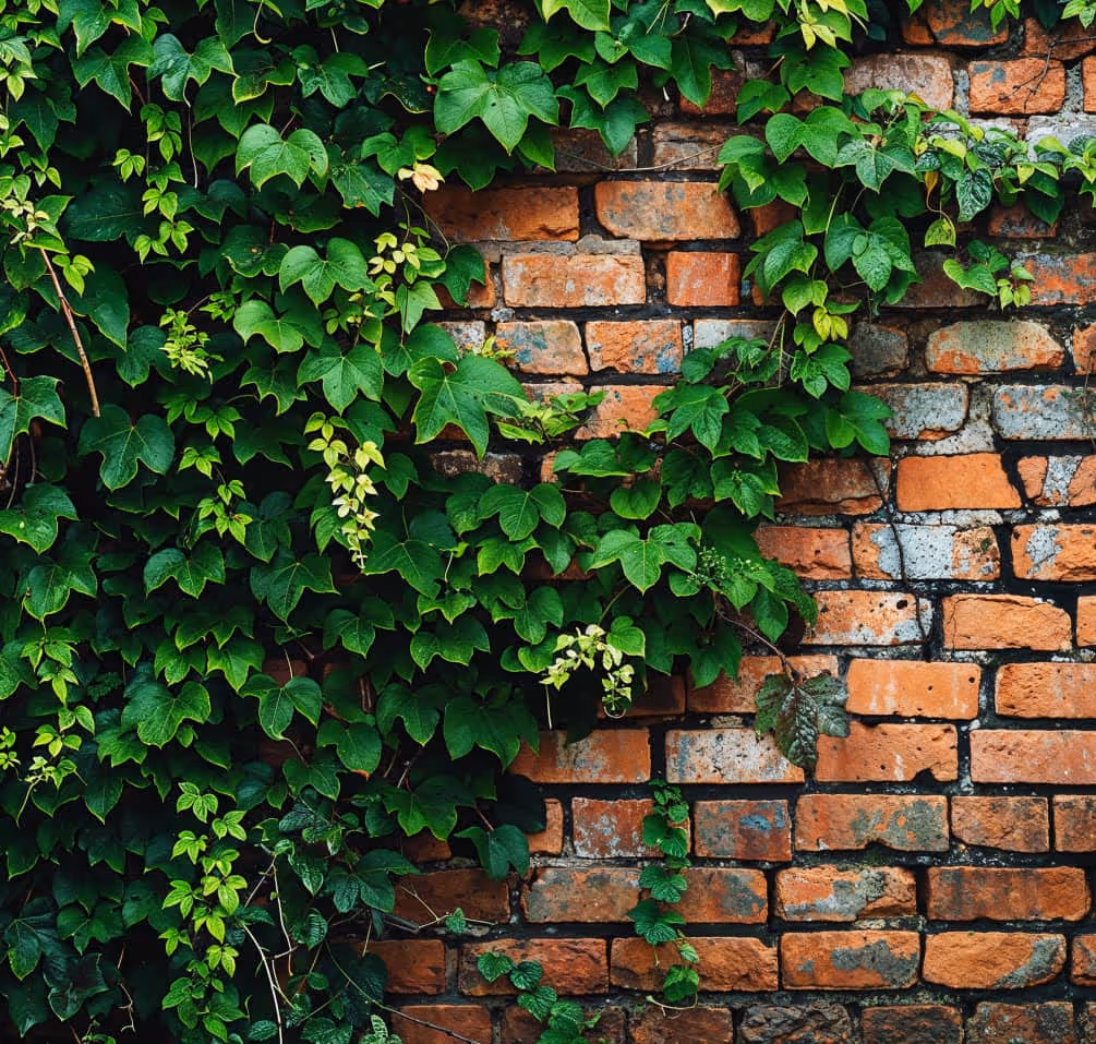 Page Not Found Image - Landscaping X Webflow Template