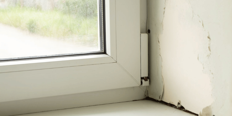 How to Recognize Signs of Water Damage and Prevent Costly Repairs