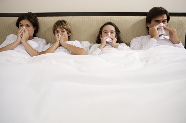Why Should I Be Concerned About Mold?