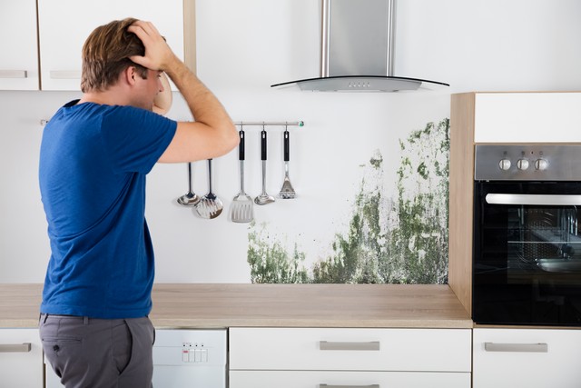 What Causes Mold Growth?