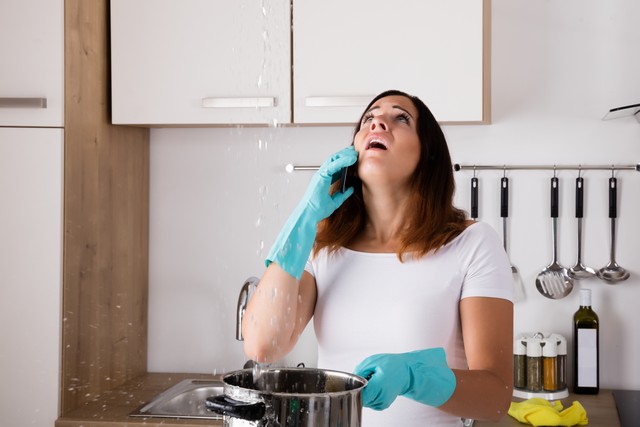 Repair Water Leaks To Prevent Mold!