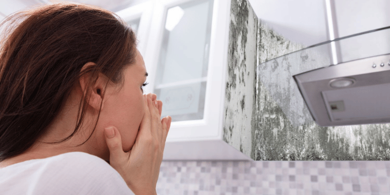 How to Prevent Mold: Simple Steps to Keep Your Home Safe