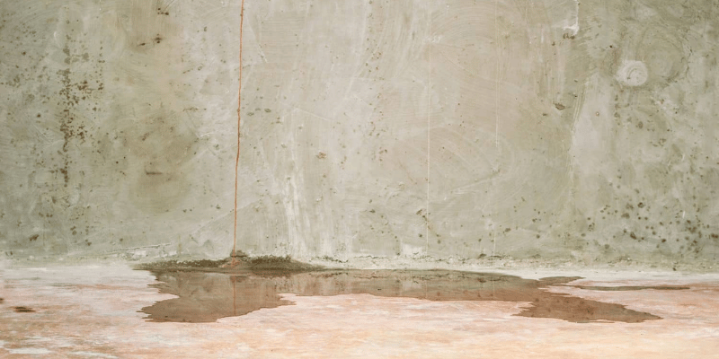 How Do You Know If You Have Hidden Water Damage Or Mold?