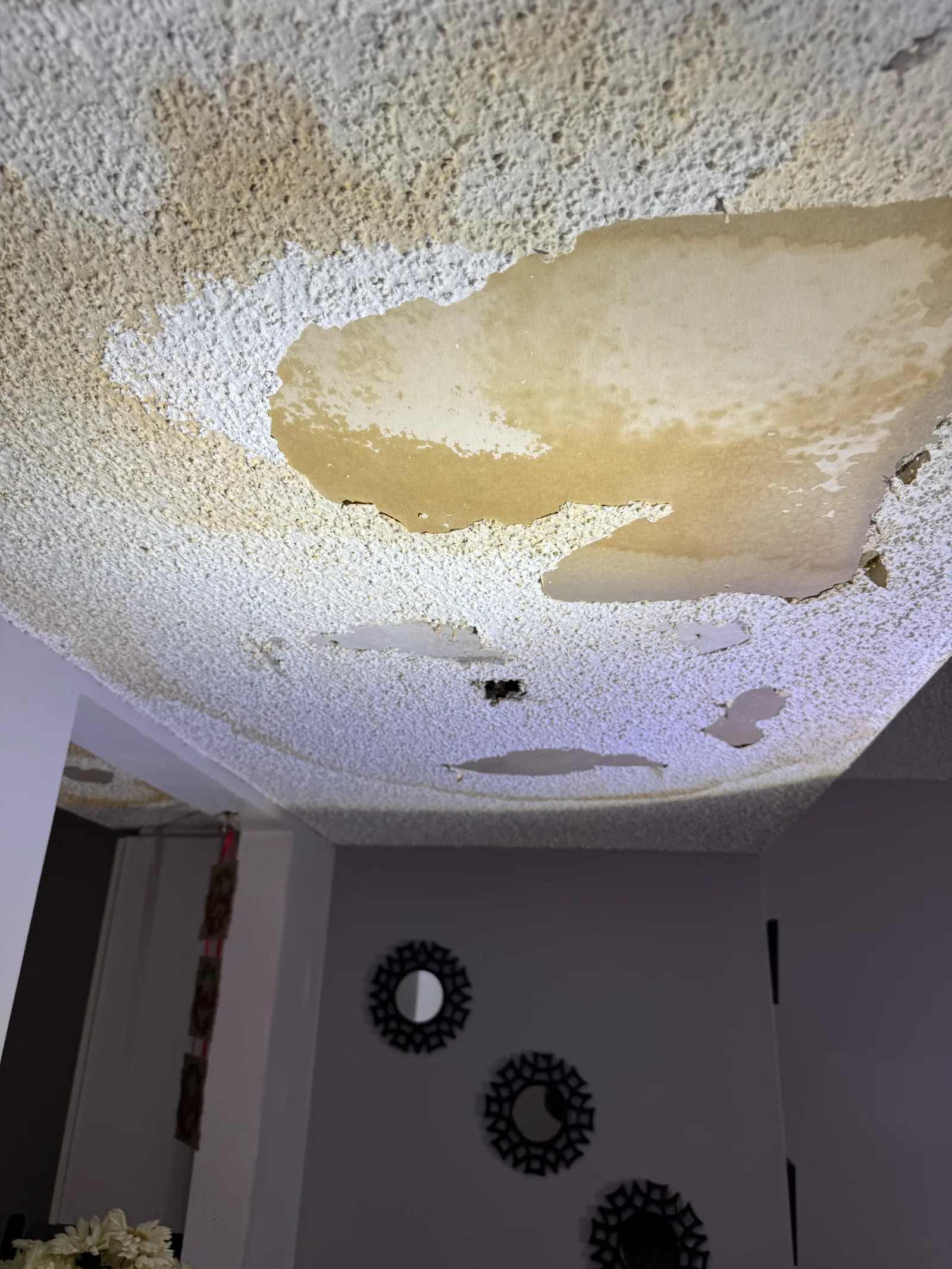 Who to Call for a Water Leak in Ceiling | Central Ohio Guide