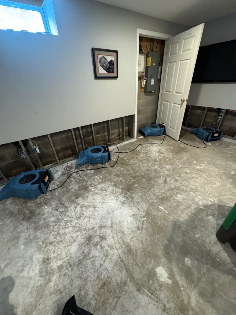 repair after flood in basement