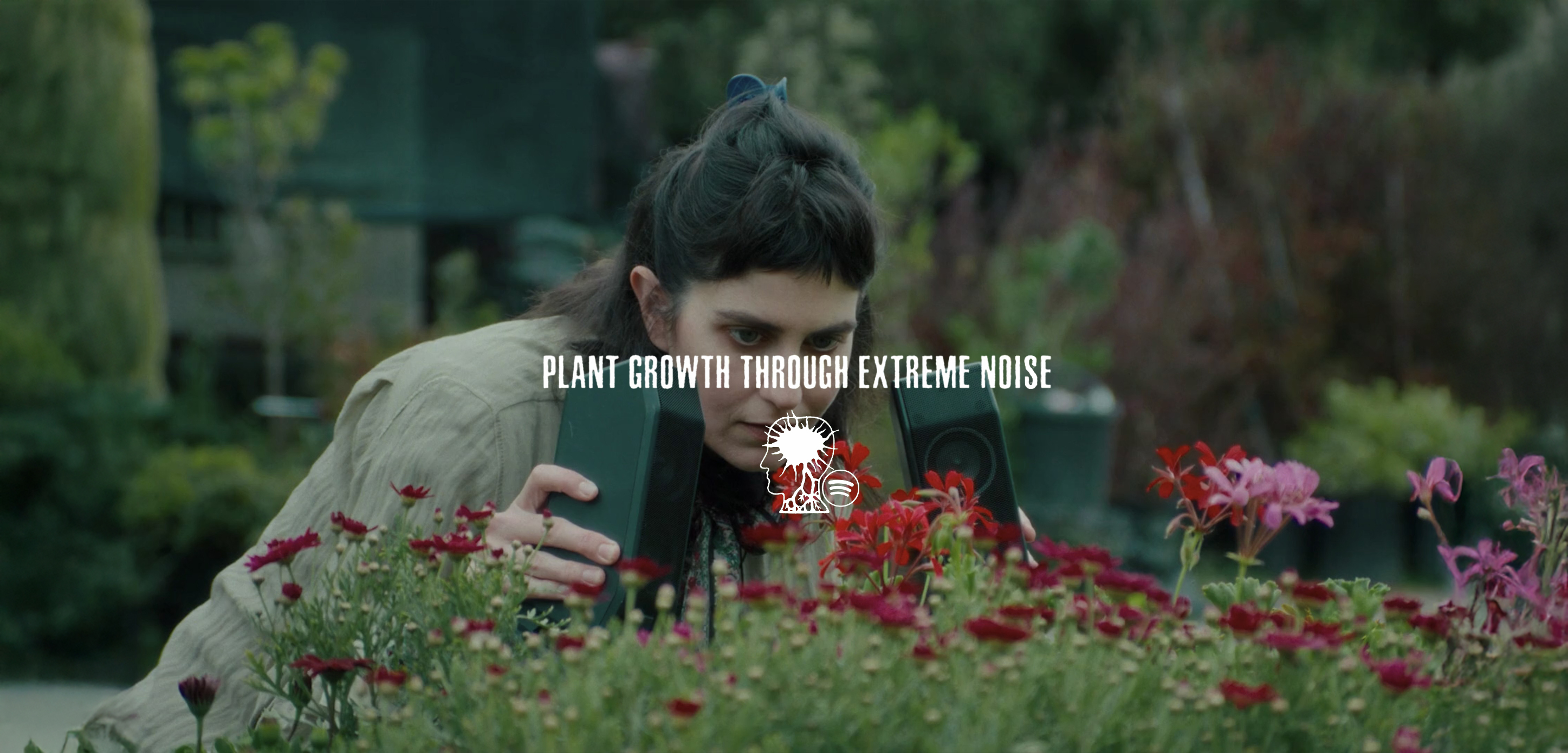Plant Growth Through Extreme Noise