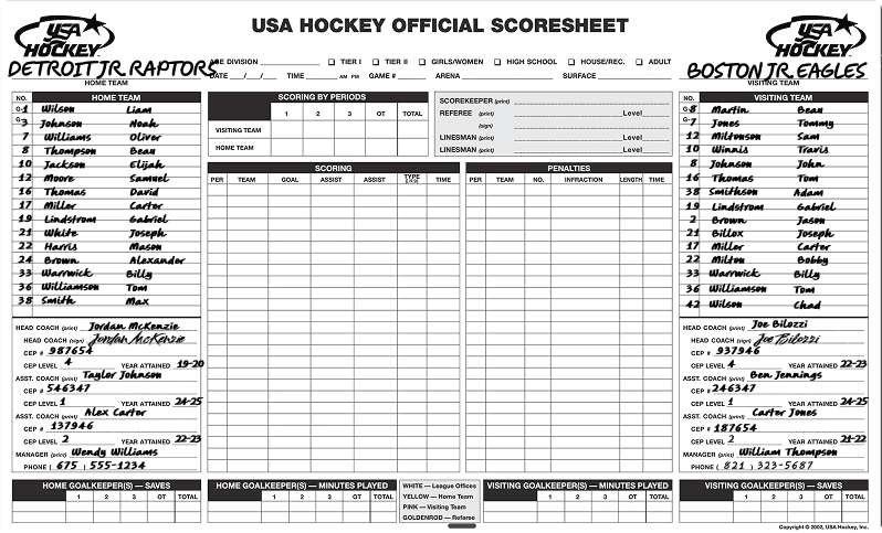 USA Hockey Official Scoresheet Roster Labels Hand Written