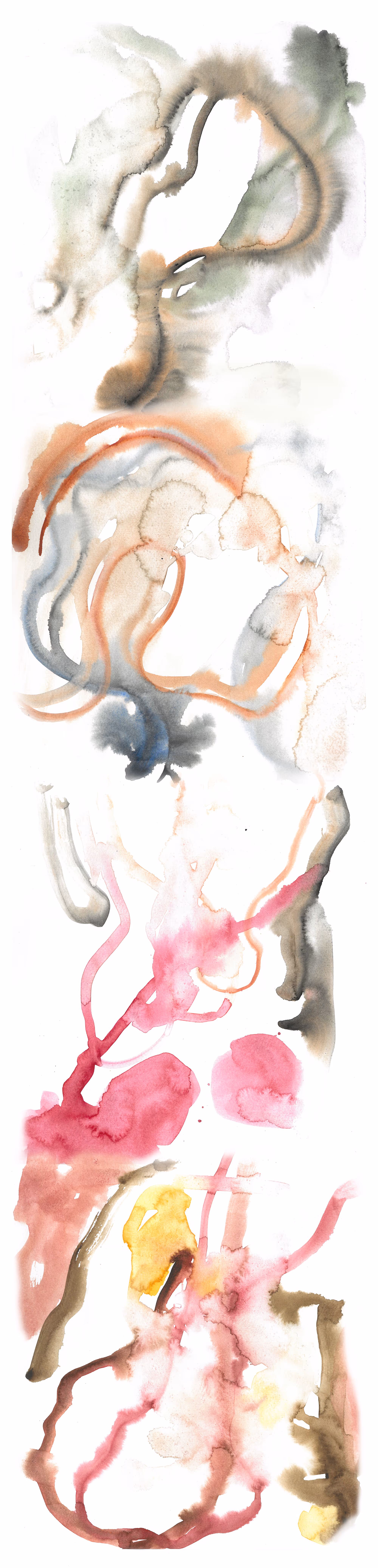 A longform image that is scrollable onscreen. The image is formed of several watercolour drawings compiled together to run continuously. The watercolour formation sprawls across the frame in multiple directions with pools of negative space. The colours shift as you scroll down and words are typed in a deep rich purple-brown serif font, scattered sporadically throughout the image and finishing after the watercolours have ended (at “cosmic forces”). Occasionally when the type intersects with certain watercolour hues the type shows up with a blue tinge.
The colours of the watercolour start as a loop of stained black, merging into pale oranges, greens and more touches of black. The next section has several arcs of burnt orange brushstrokes from left to right seeping upwards into each other and underlaid by two deep indigo blue brushstrokes that start broad and amorphous at the lower end and trail off into wiggles around the burnt orange. The third section continues a thin sinuous line of burnt orange largely obscured by trails of a rich pink to the left with a soft loop of murky grey-green and to the right a bigger swathe of grey-green down towards a circle of softer pink next to a bigger expanse of pink coming from the left lower corner. The final section is a mix of pale peachy pink in the top left corner and down the right side, a small smudge of golden yellow towards the middle top and several looped and squiggled lines of khaki green and the same pale peachy pink and rich pink from the previous section. 

The text throughout reads as follows. Each comma denotes a shift to another line in the image and a forward slash denotes phrases on the same line spaced apart rather than grammar used by the artist. Brackets artists own. 
“between shores, tidalectic, out of body, into mind, stretch, away, run inside, hide, cut, becoming, skin peels forwards, head leans back, jaw creaks/leak, holding place, space, body still, abandoned, resonating, choke, throat, flows over, gargle, flesh, piling, heaping, folds, skin/oil/earth, mask dripping, slips, (vibrating bone), cells scream, silently, blood rushes through, tunnelling down, as they go up, breaking out, free, (free from the whiff of the gone bad thing, the rotting precedes the jolt), sweaty folds, quivering humms, (slump), deep within the cracks, rank, expand, distance falling, she falls, up, retreat, foul memory, split, shadow body, long drift, above, overwhelm, feel tongue, toes press, cold, sour, soft, come back, to substrate, glide with the eclipse, hold the darkness, brace for light, pull deep, in the/air, stars, n, cosmic forces, (exhale distance), spirit settles/back, rib over hip, over heap”