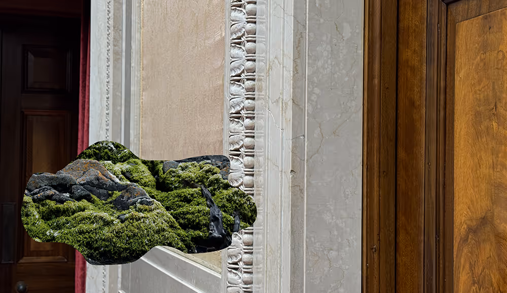 A landscape image of a deep rich mahogany door to the right side set in a white marble wall decorated with pale linen wallpaper in the Senate Chamber at Stormont Estate, East Belfast. The far left of the image falls away into darkness from a sliver of red curtain. Overlaid on the image in the lower left corner is an interjecting cloud of rock moss in deep green and lichen flecked greys from Greencastle, Donegal.