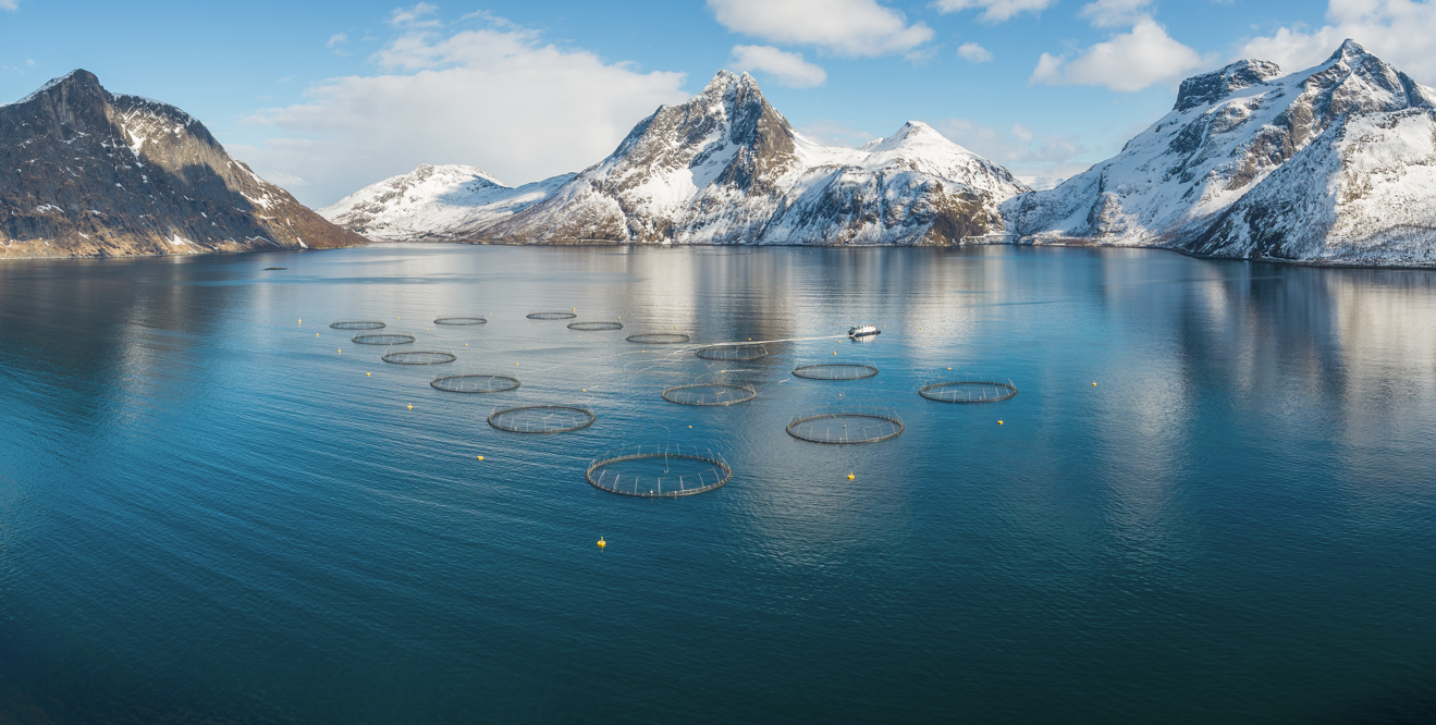 På vegne av IVC søker vi nå en erfaren Investment Professional som vil få en sentral rolle i identifisering, gjennomføring og oppfølging av investeringer.