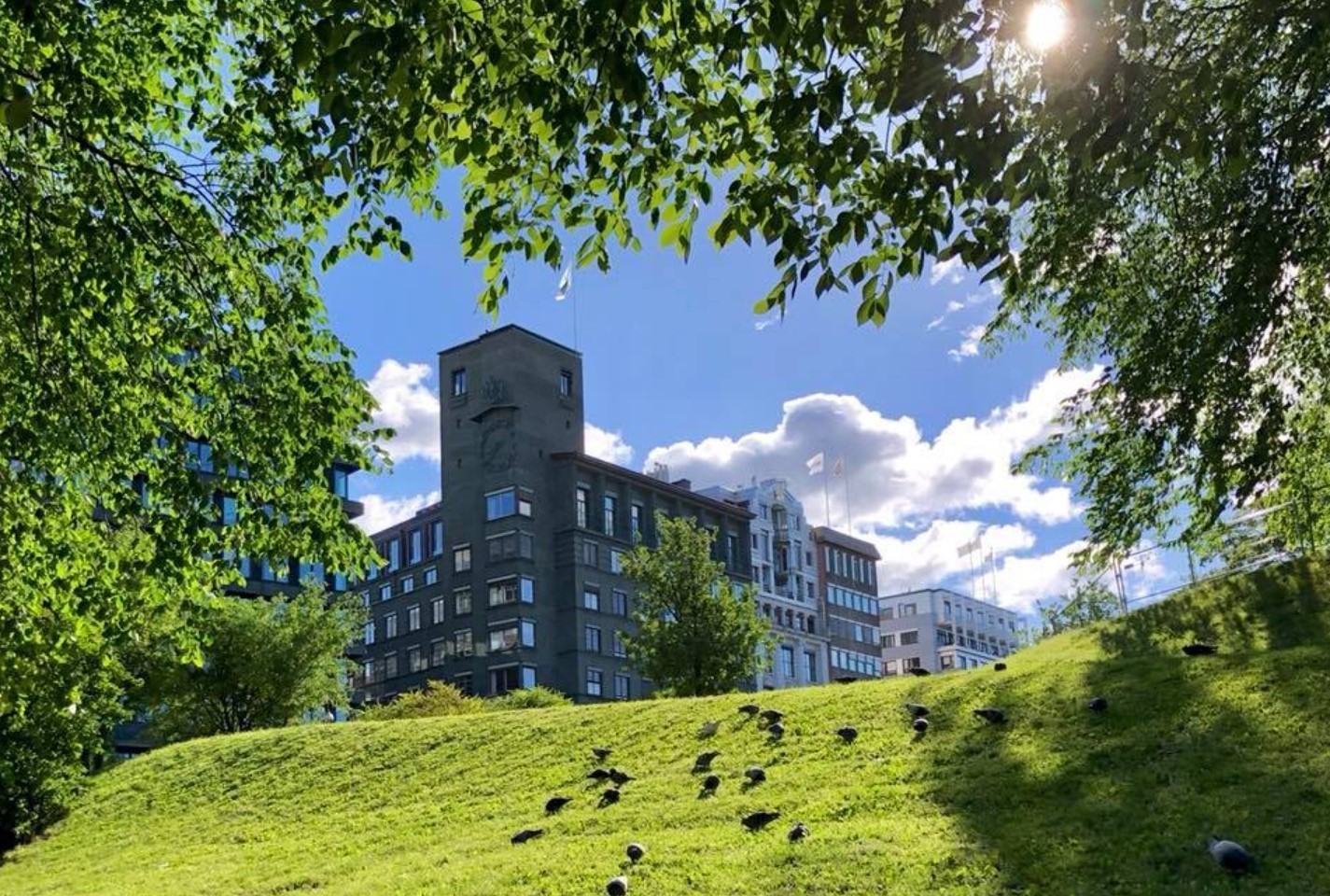 Norges Rederiforbund søker en operativ og strukturert regnskapssjef som vil ha en sentral rolle i forbundets økonomifunksjon.