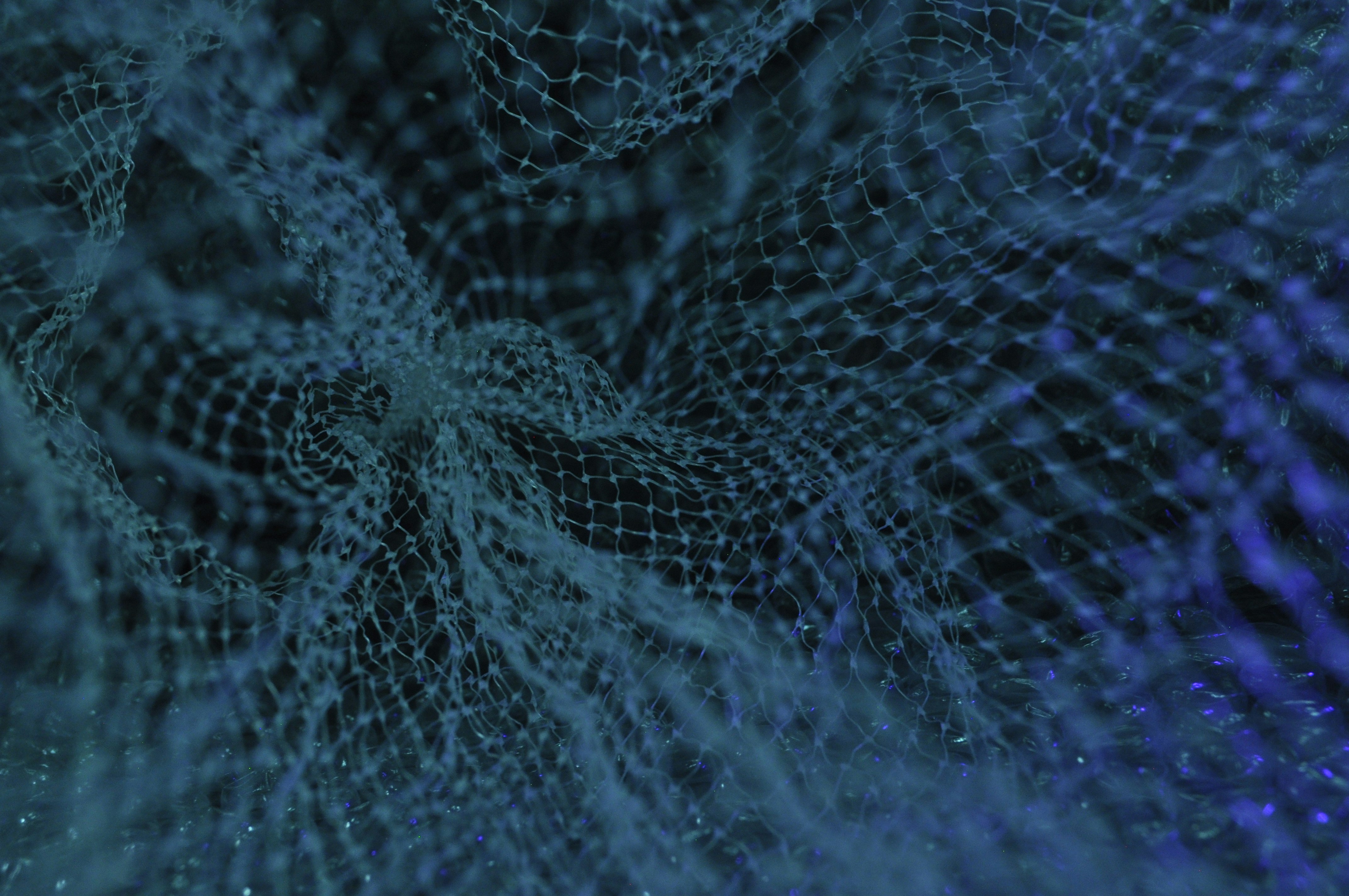 Bitcoin's Client-Side Validation: What It Is and How It Works