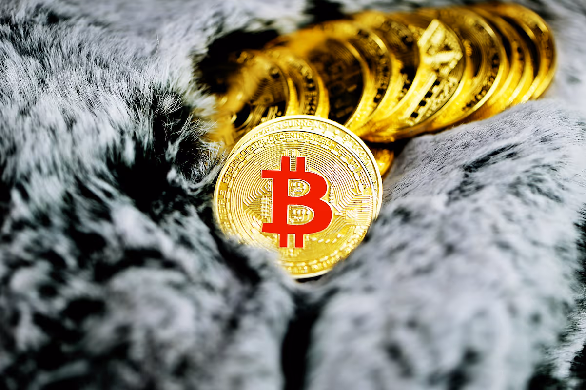 Backing Bitcoin: Understanding Its Financial Core
