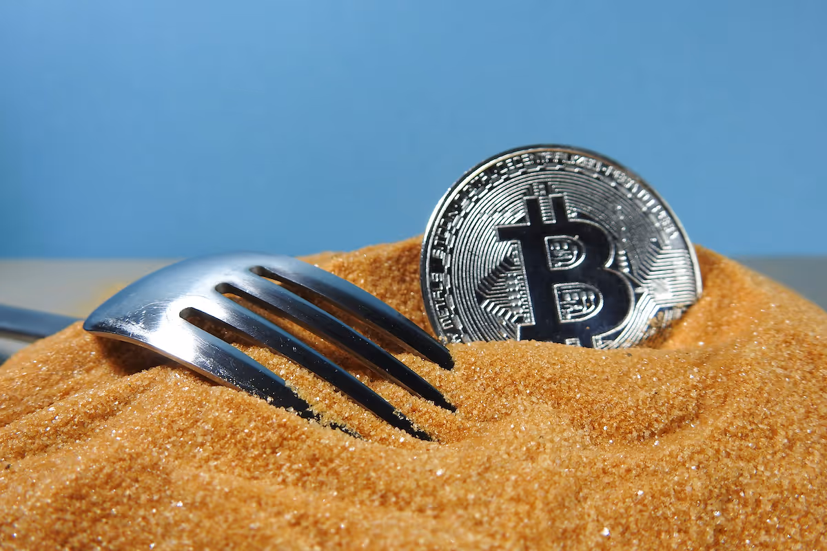 Bitcoin Forks: How the Blockchain Evolves
