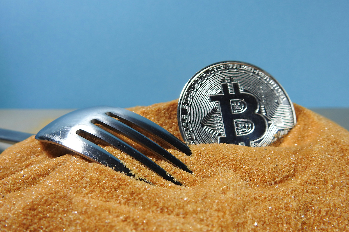 Bitcoin Forks: How the Blockchain Evolves