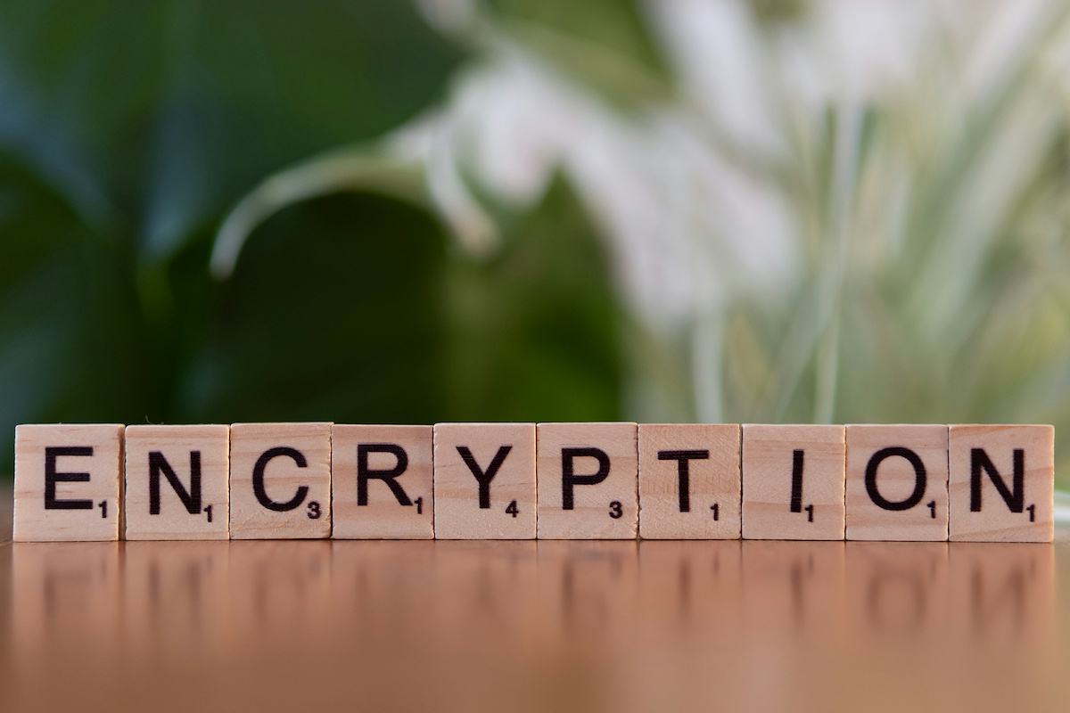 Encryption and Cryptography: The Bedrock of Digital Security