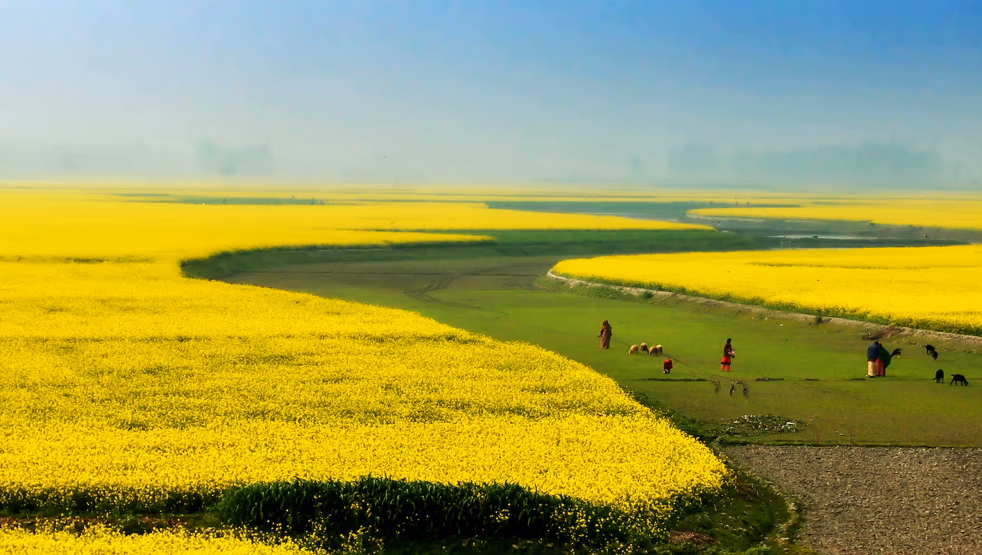 Is Crypto Legal in Bangladesh? Regulations & Compliance in 2025