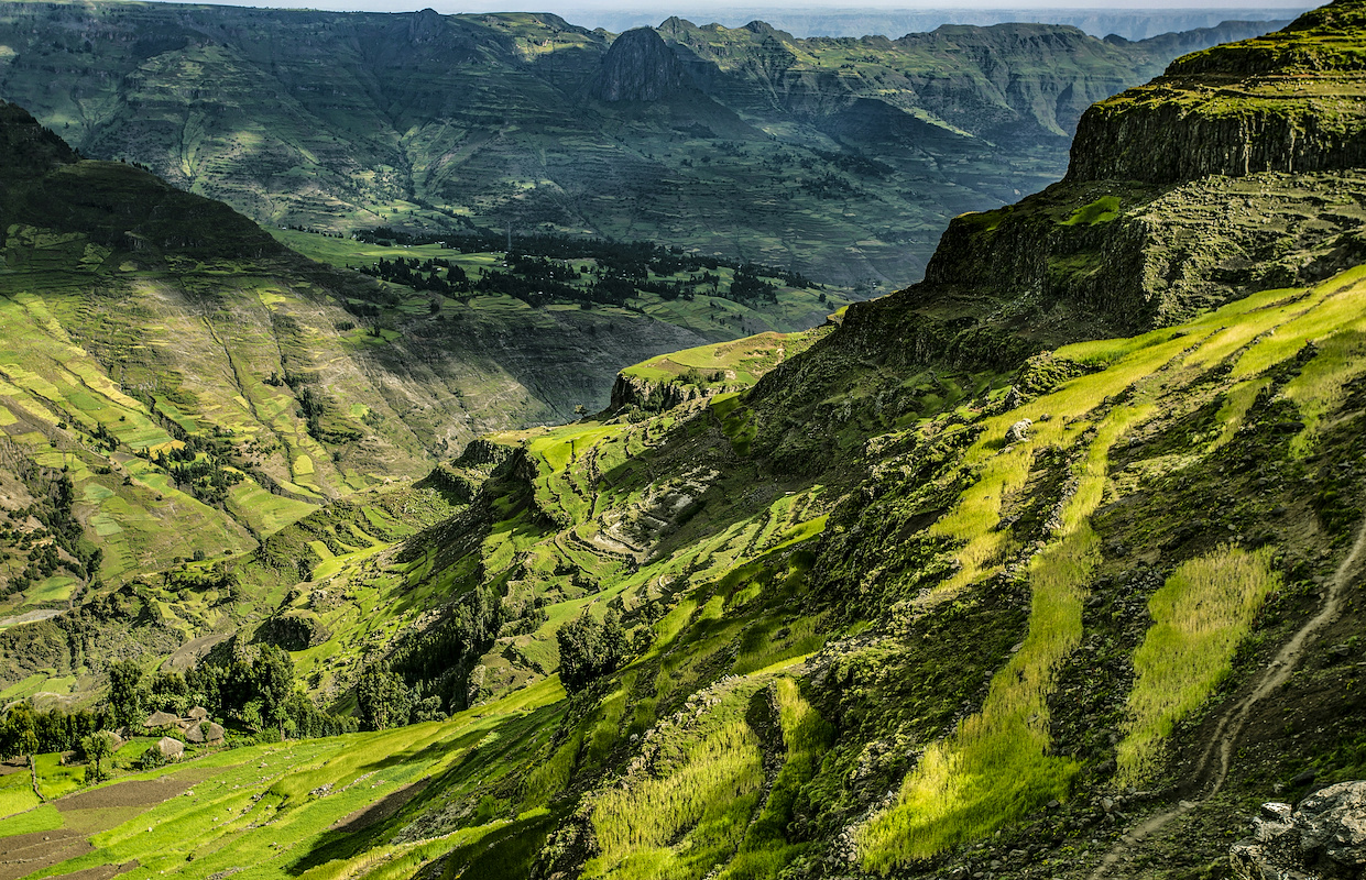 Is Crypto Legal in Ethiopia? Regulations & Compliance in 2025
