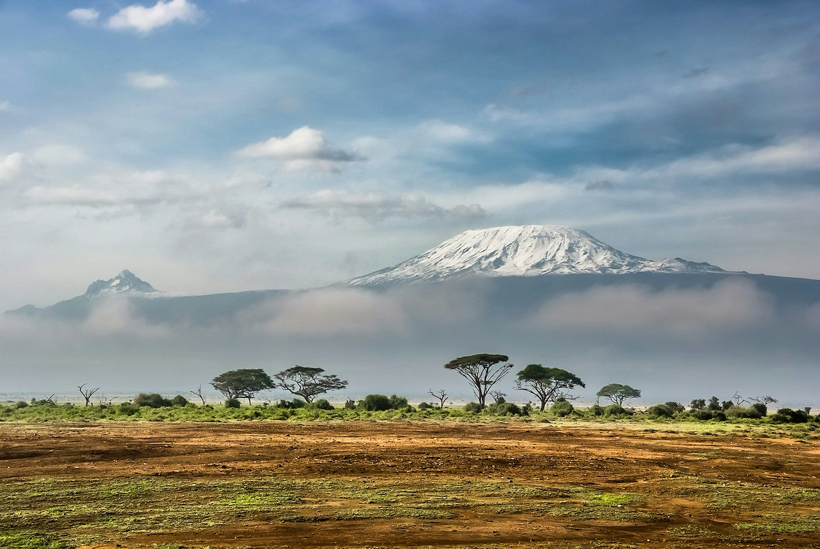 Instant Payments Kenya: Rails, Fees, and the Lightning Network (2025)