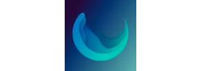 Slowdive logo.
