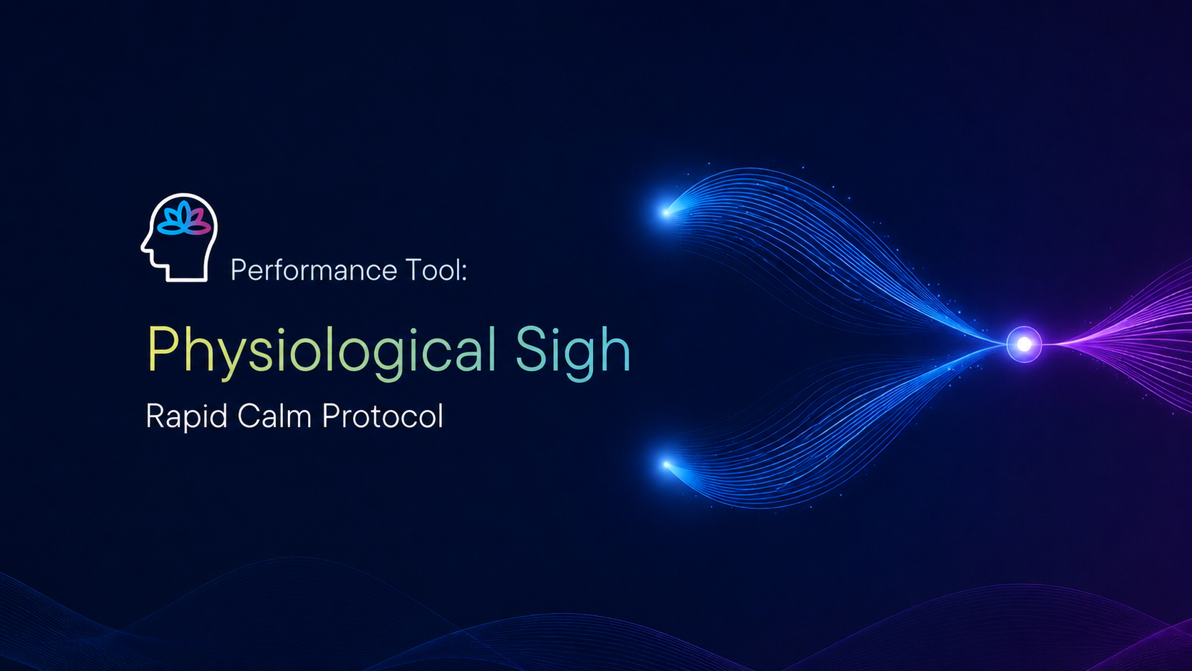 Performance Tool: The Physiological Sigh / Rapid Calm Protocol