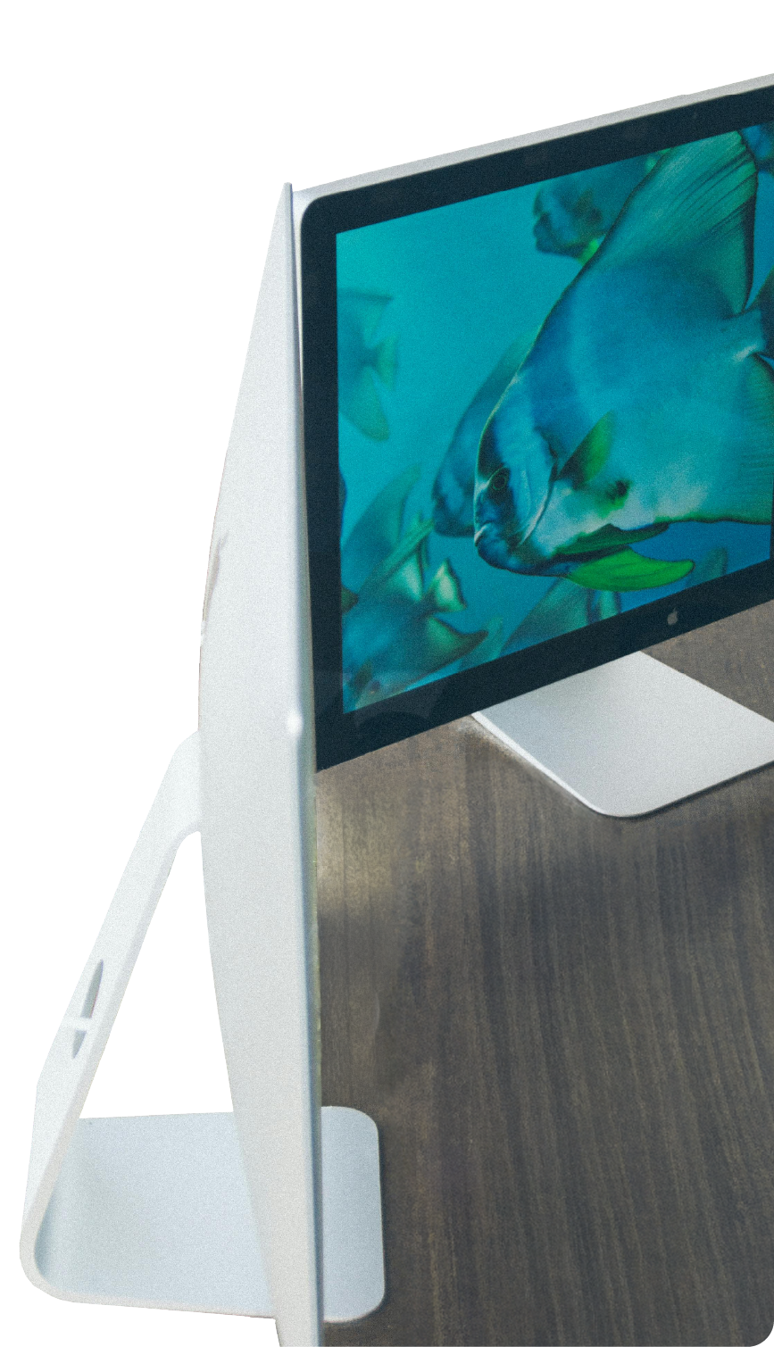 Side view of a white all-in-one computer on a wooden desk showing a screen with an underwater scene of fish.