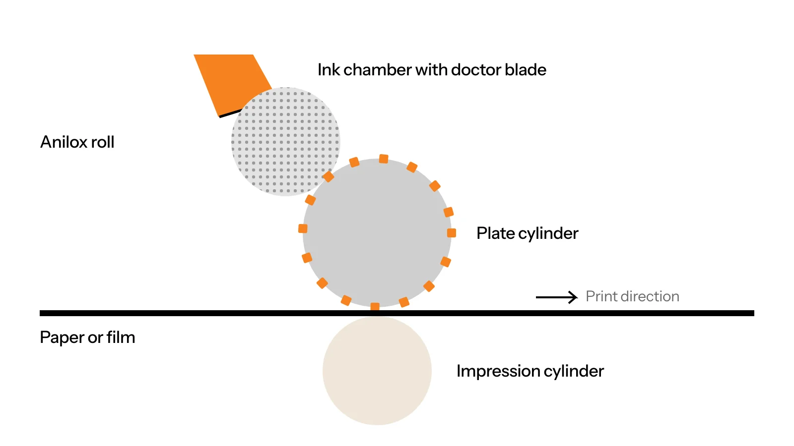 Diagram of a flexo print unit: ink chamber with doctor blade, anilox roll, plate cylinder, impression cylinder and the substrate passing through