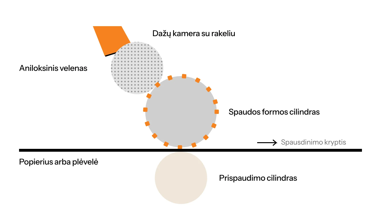 Fleksografinės spaudos sekcijos schema: dažų kamera su rakeliu, aniloksinis velenas, formos cilindras, spaudimo cilindras ir tarp jų judanti medžiaga
