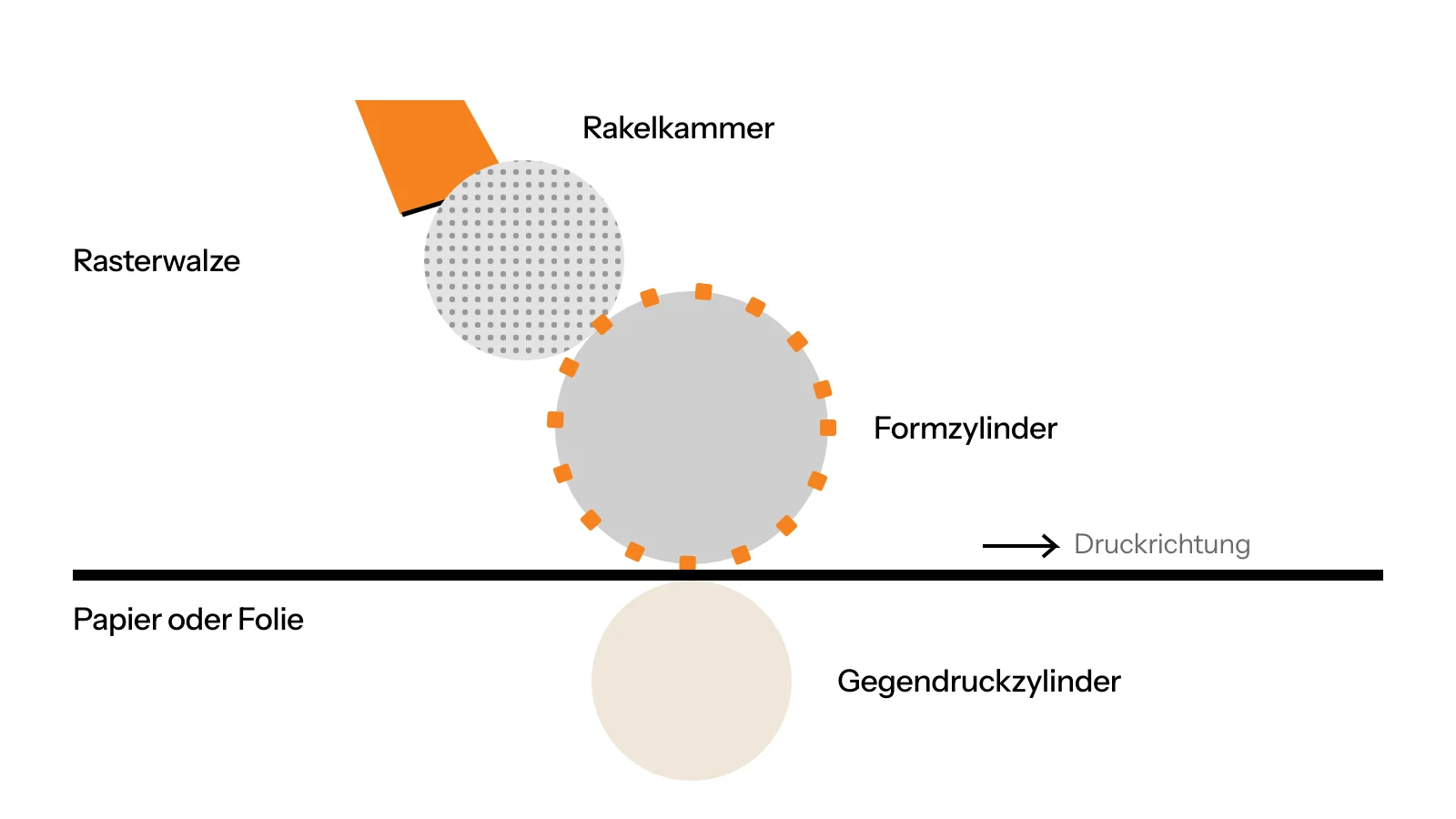 Schema eines Flexodruckwerks: Rakelkammer, Rasterwalze, Formzylinder, Gegendruckzylinder und der durchlaufende Bedruckstoff