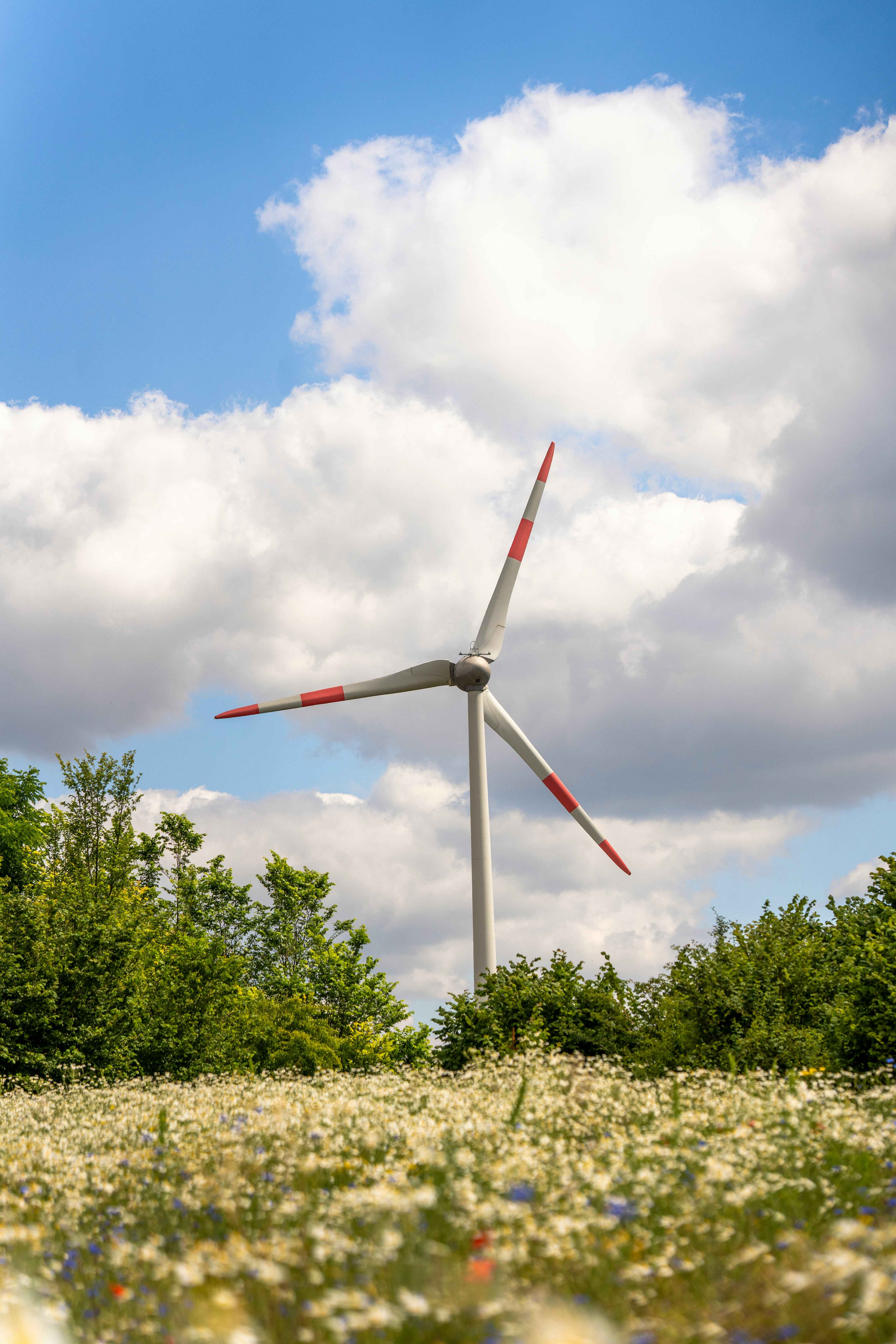 Wind turbine landscape