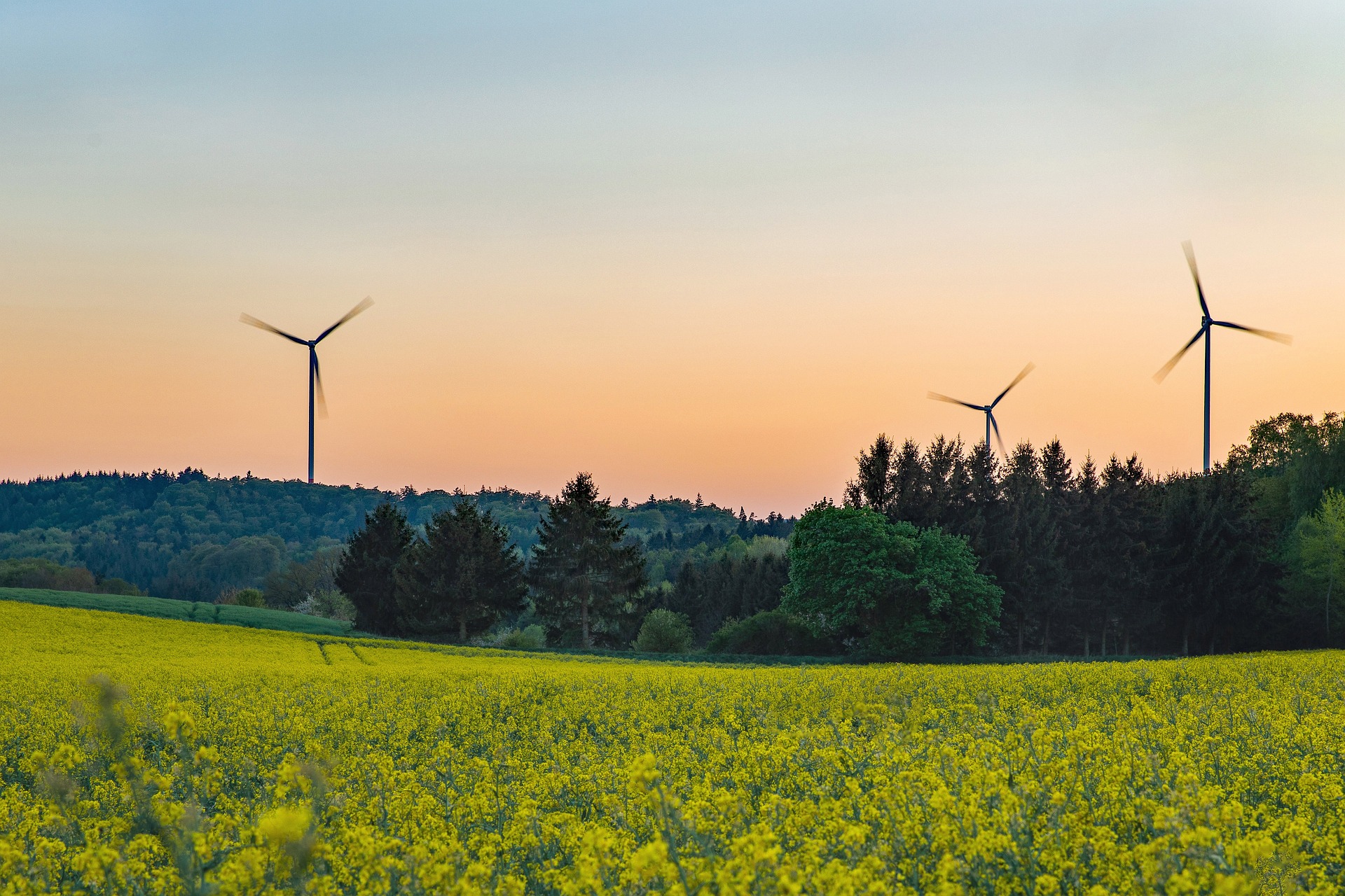 wind turbine forest landscape