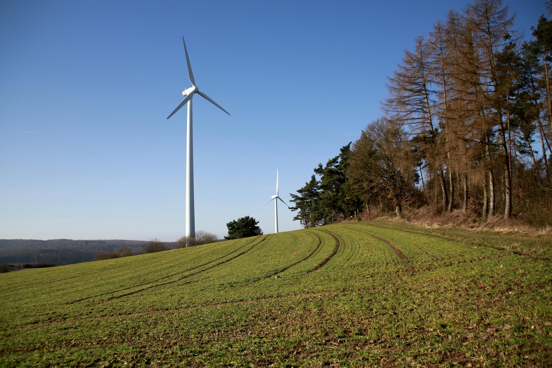wind turbine in nature